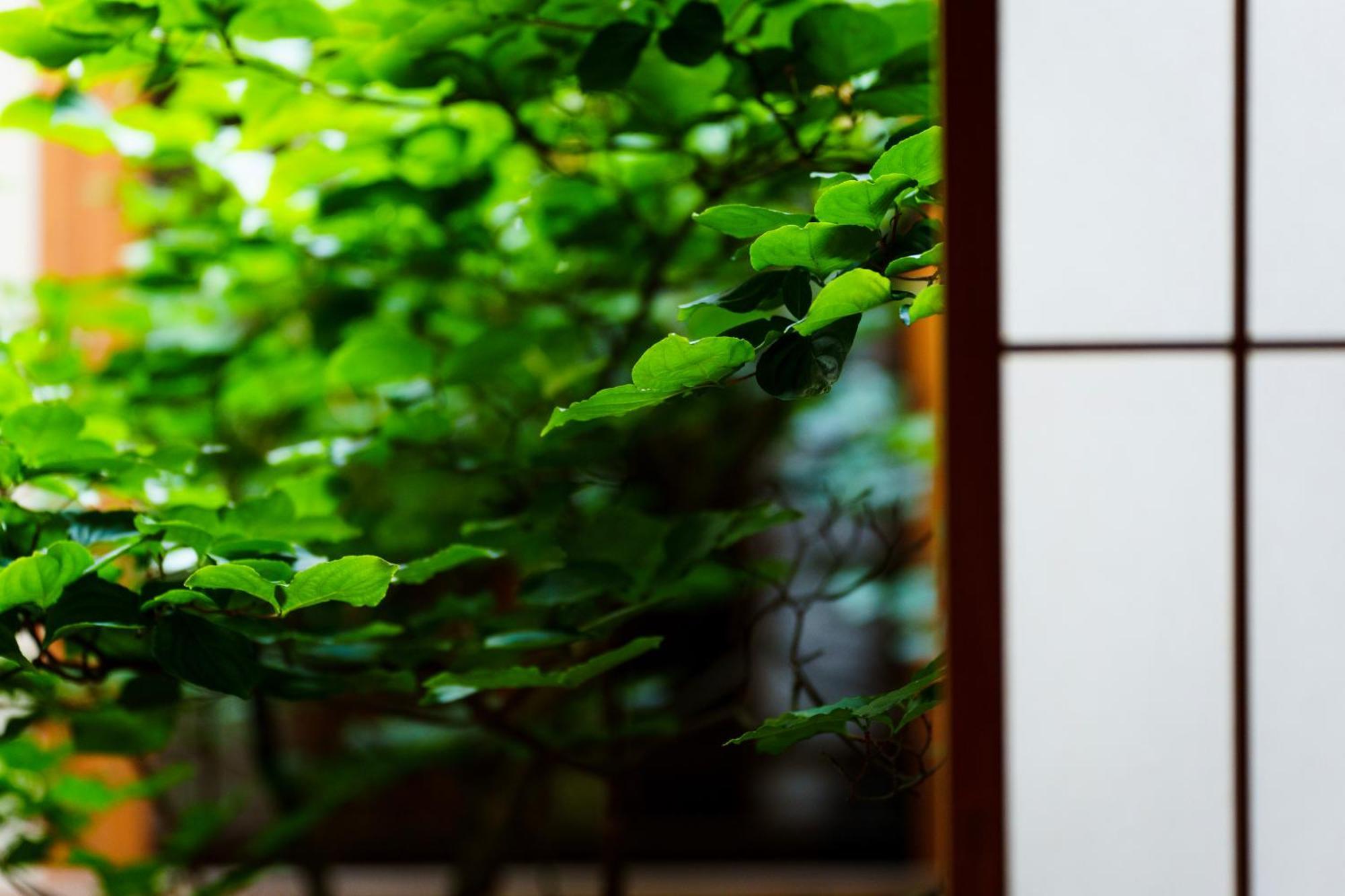 Hotori Villa Kyoto Ngoại thất bức ảnh