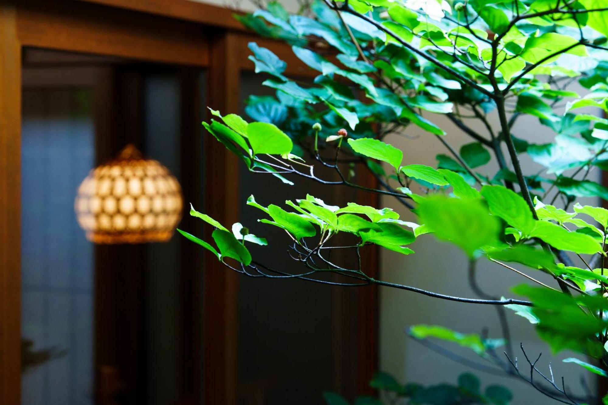 Hotori Villa Kyoto Ngoại thất bức ảnh